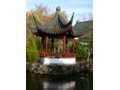 Chinese Pagoda portrait